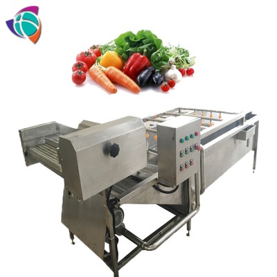 vegetable fruit washer/coriander cleaner machine